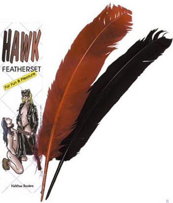 Plumes rouge et noire Hidden Desir