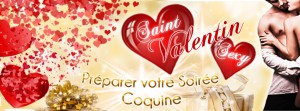Saint-Valentin : Cadeau et Idées Erotiques