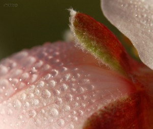 Sécheresse vaginale : des solutions existent !