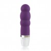 Petit Vibro Bswish
