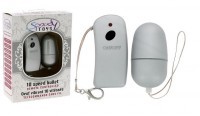 Oeuf vibrant télécommandé 10 vitesses argent 5cm ø3