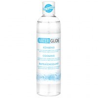 Lubrifiant Waterglide Rafraîchissant 300mL