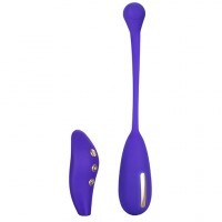 Oeuf Electro Stimulation Remote Kegel Exerciser