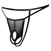 String Exhibition Pénis et Testicules