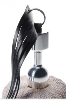 Plug Anal Fouet