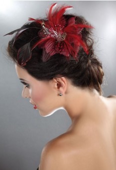 Clip Glamour Cheveux