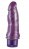 Vibro Anal