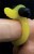 Bague P�nis Vibrante Phosphorescente