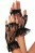 Gants Mitaines Dentelle