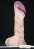 Lampe en Forme Penis