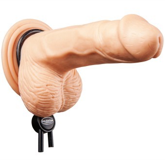 Cockring Ajustable Erection