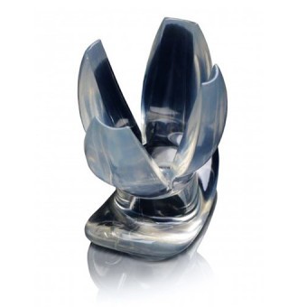 Dilatateur Anal Clear Claw 12cm 11