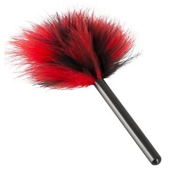 Mini Plume Rouge et Noir