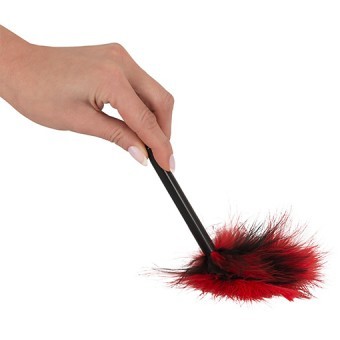 Mini Plume Rouge et Noir