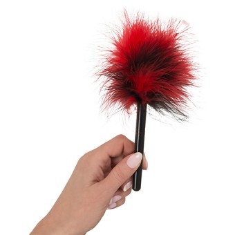 Mini Plume Rouge et Noir