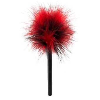 Mini Plume Rouge et Noir