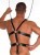 Harnais de Suspension en Cuir