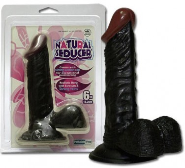 Godes Black Testicules Ventouses 17 cm
