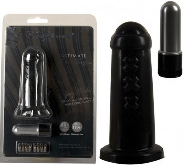 Vibromasseur Anal Silicone
