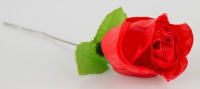Rose G-String