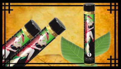 Shunga Man Sexual Energy 23mL