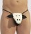 String Mouton Sonore