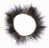 Oeil de Biche