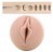 Masturbateur Fleshlight Kayden Kross 24cm 10