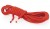 Corde Bondage Nylon Rouge