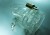 Cage chastet� BON 4