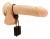 Poids Pour Penis Et Testicules