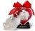 Canard d'Amour en Coffret Cadeau