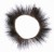 Oeil de Biche
