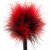 Mini Plume Rouge et Noir