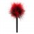 Mini Plume Rouge et Noir