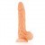 Gode Vein avec Testicules Double Peau 22cm 4,5