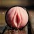 Masturbateur Fleshlight Lady Vortex 24cm