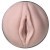 Vagin Fleshlight Insert
