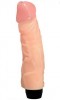 Penis Vibrant R�aliste 20cm �5