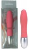 Vibromasseur Rose Discretion