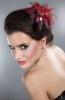 Clip Glamour Cheveux