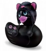 Canard Kitty Chat