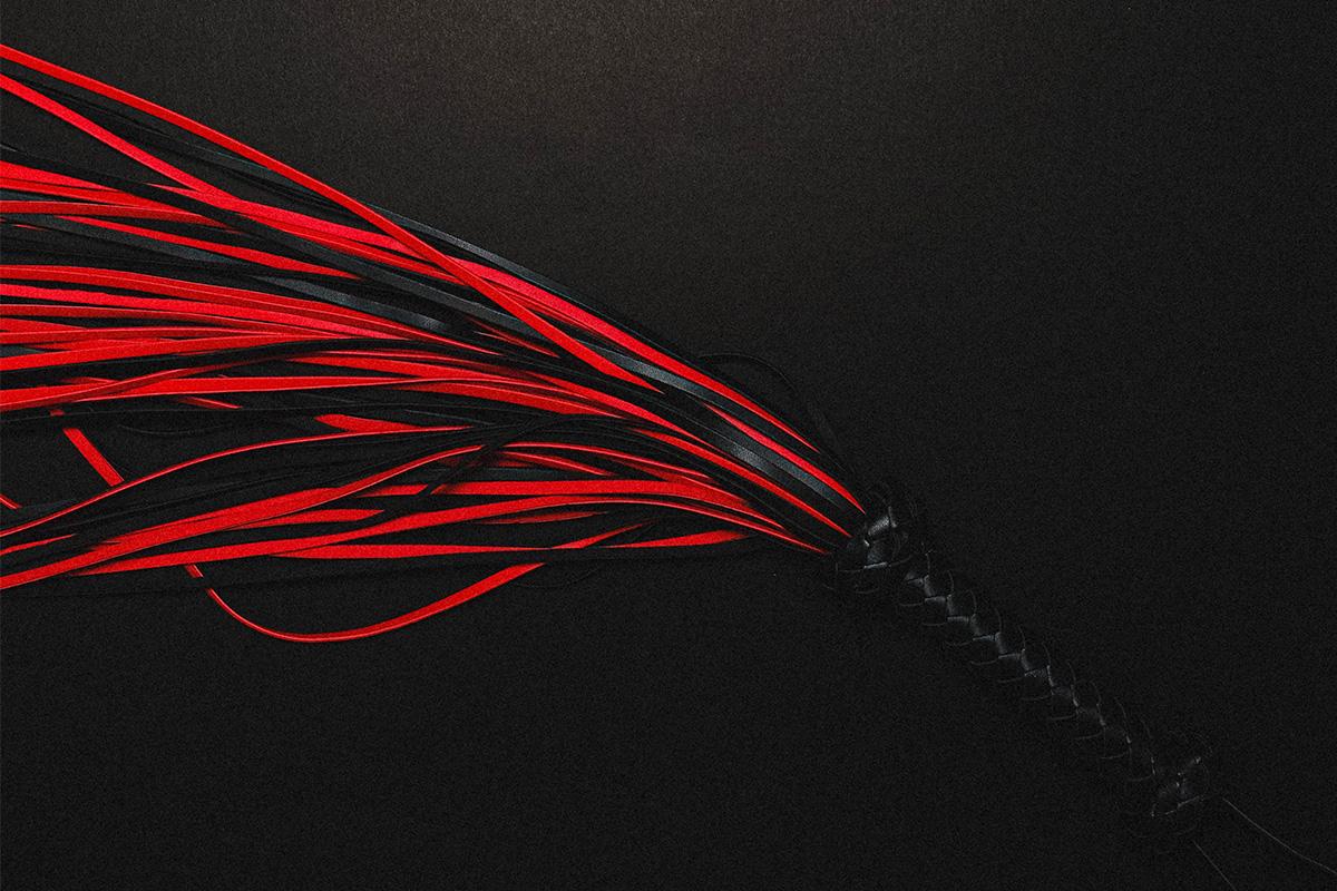 Le Fouet � un v�ritable instrument pour � le Ma�tre �